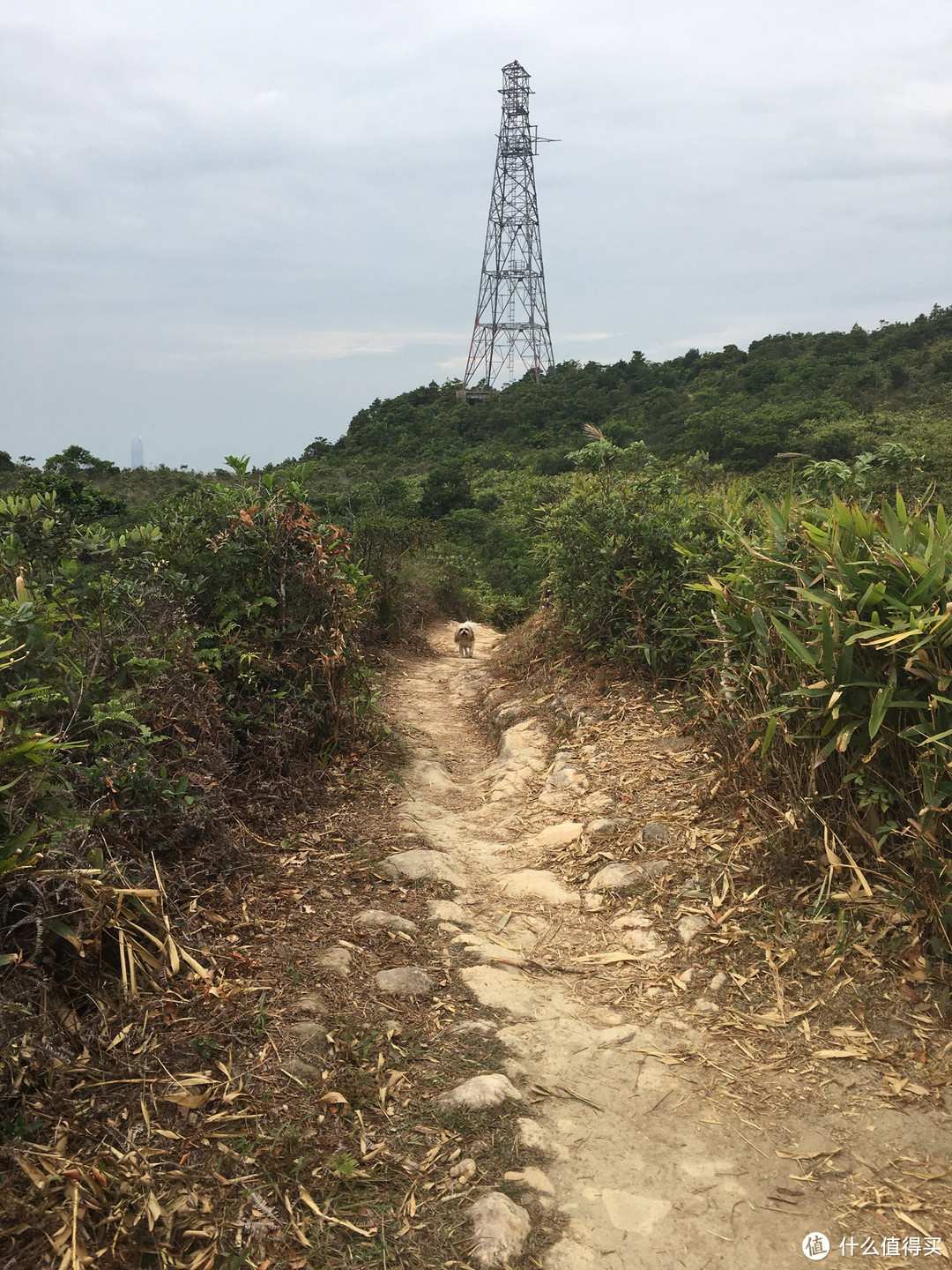 香港另一面的美，港岛径25KM暴走