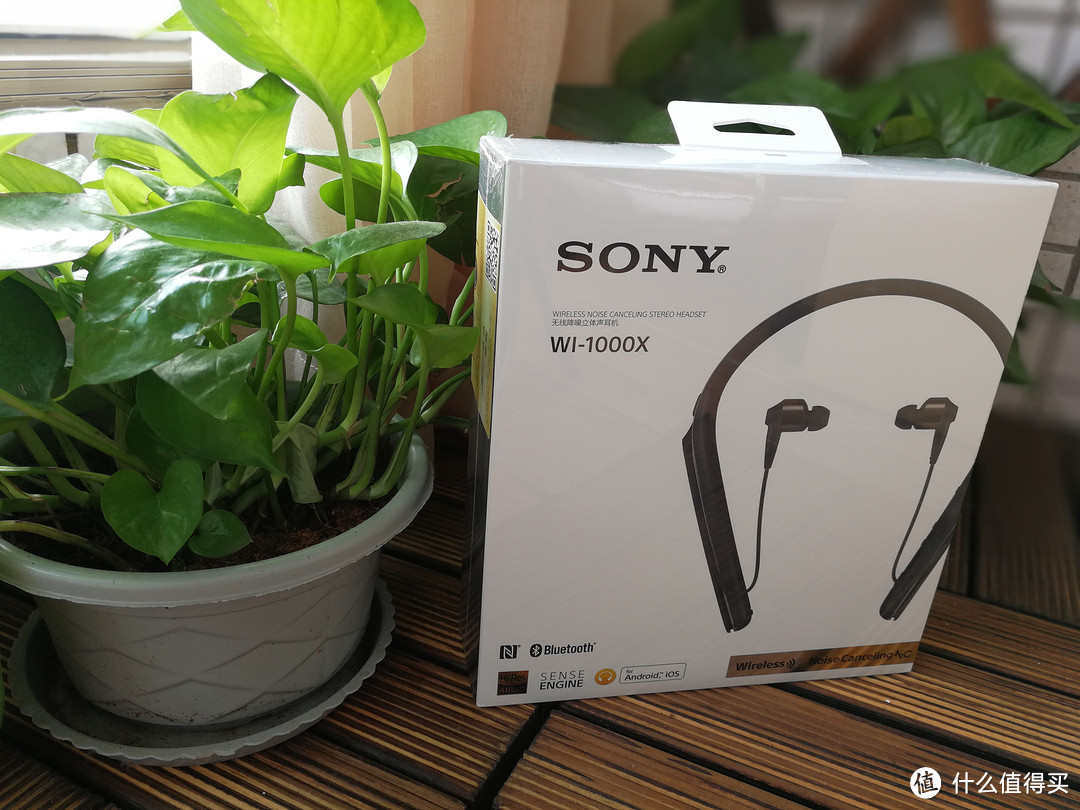 苦等一个月的索尼小兄弟—SONY 索尼 WI-1000x 耳机 开箱