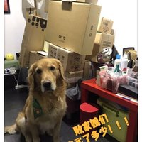 小米 扫地机器人使用总结(包装|说明书|配件)