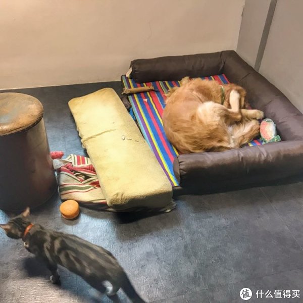 #ԭ#ɹ#MI С ɨػ 
