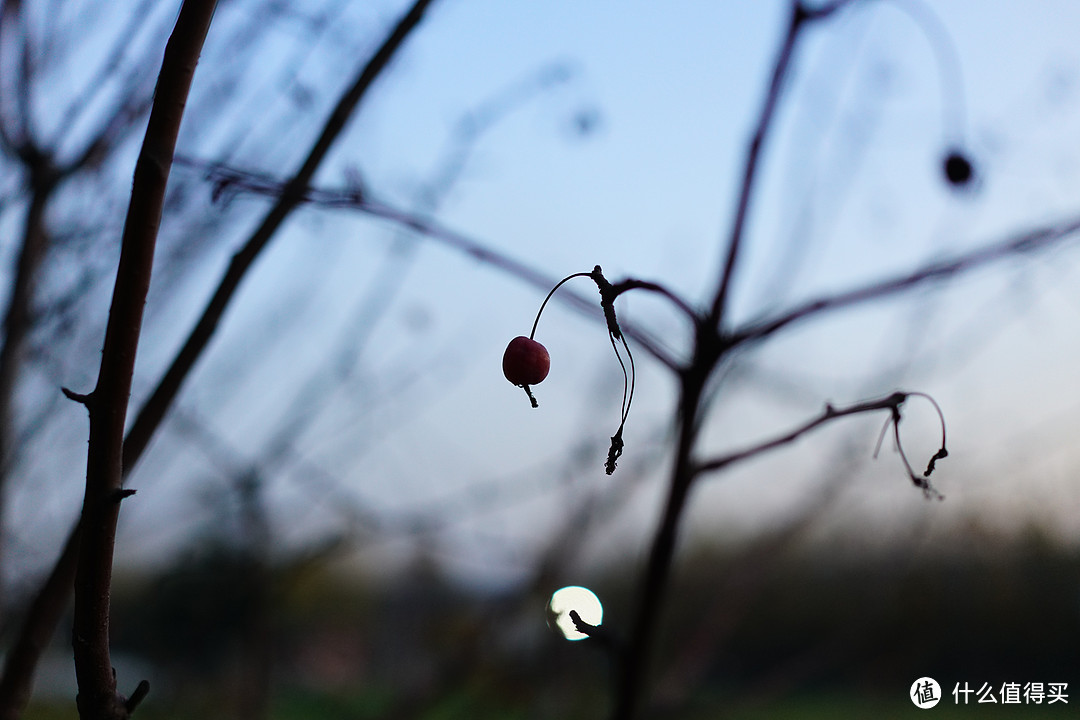 #晒单大赛# 买一台二手SONY 索尼 RX1R M2 相机