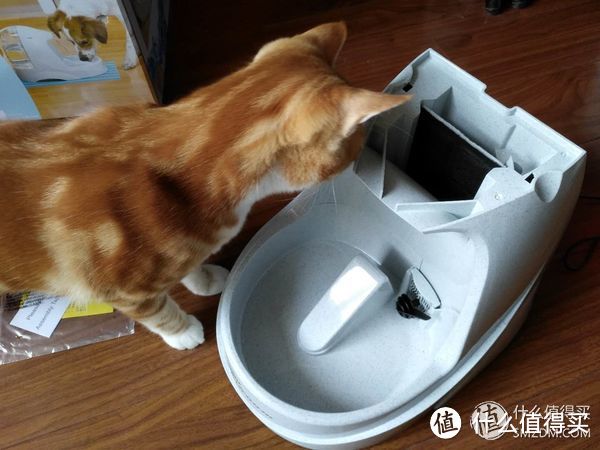 贝适安®Drinkwell*铂金版宠物喷泉饮水器众测