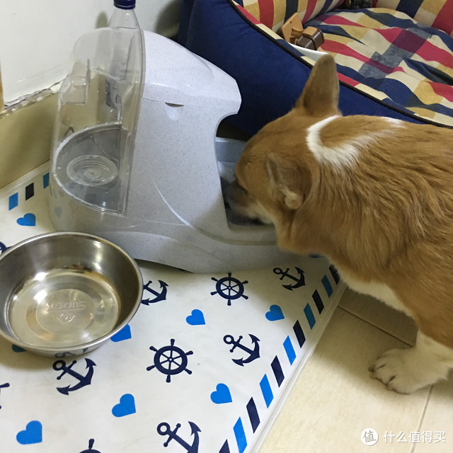 贝适安Drinkwell铂金版宠物喷泉饮水器试用报告