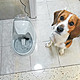 宠物也要饮水安全---贝适安®Drinkwell*铂金版宠物喷泉饮水器评测报告