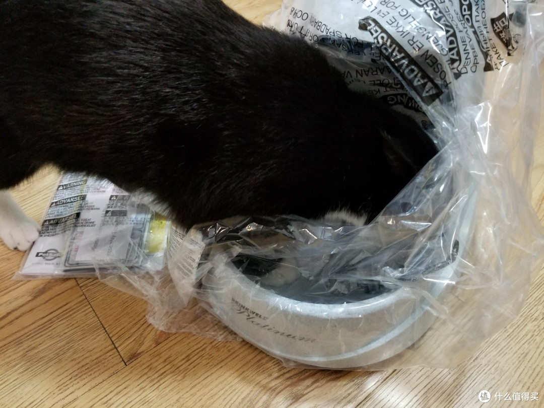 贝适安Drinkwell宠物饮水器使用测评及云喵二两