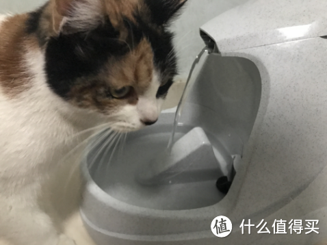 ​贝适安Petsafe Drinkwell宠物喷泉饮水器评测