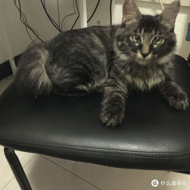 拖延症患者的饮水器报告