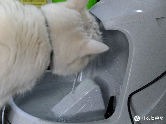 帮助主子喝水的利器-petsafe drinkwell宠物饮水器评测