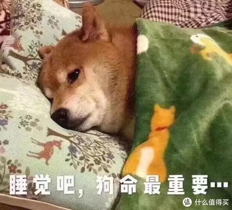 和我一起来睡个好觉