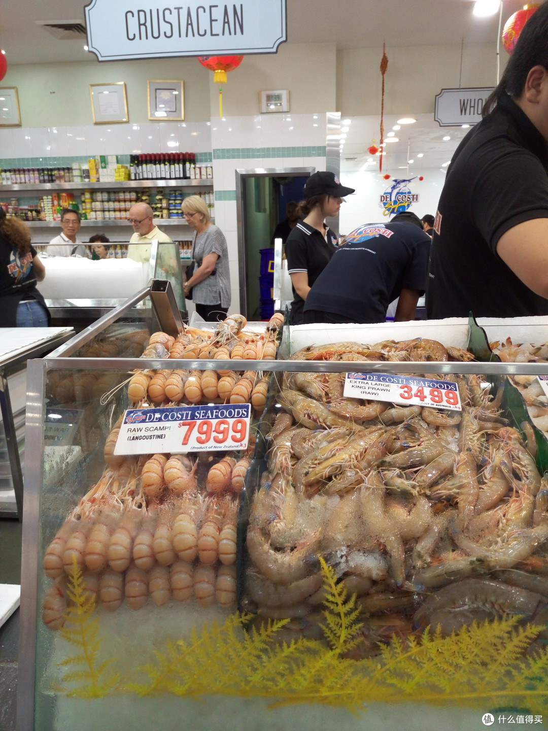 房车上的袋鼠国—澳大利亚自驾游记