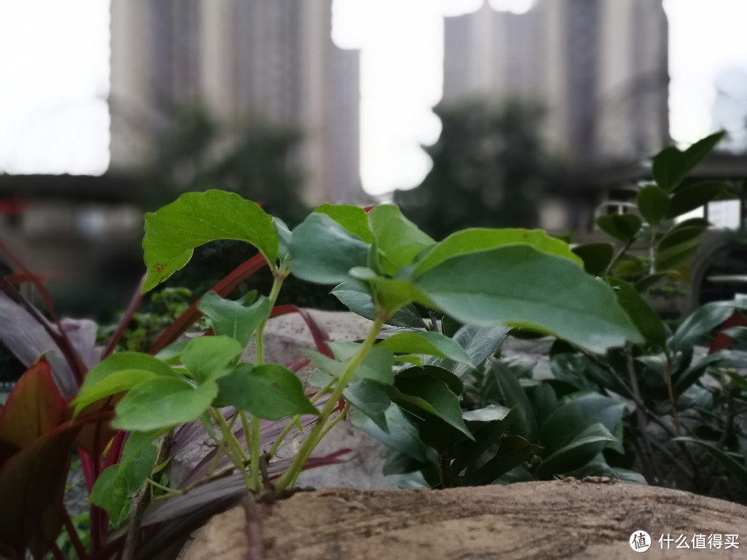 千元全面屏手机对决:荣耀畅玩7X VS 海信哈利手机