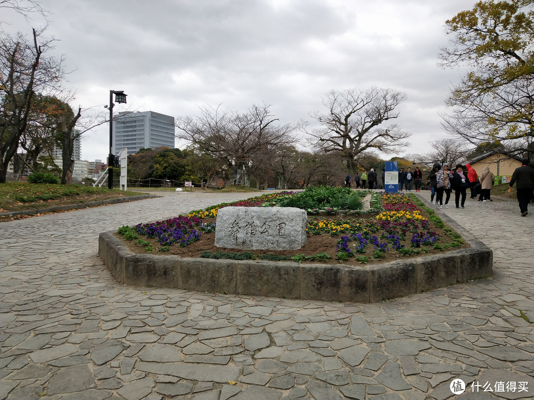 第一次家庭邮轮之旅—MSC 地中海抒情号 游记