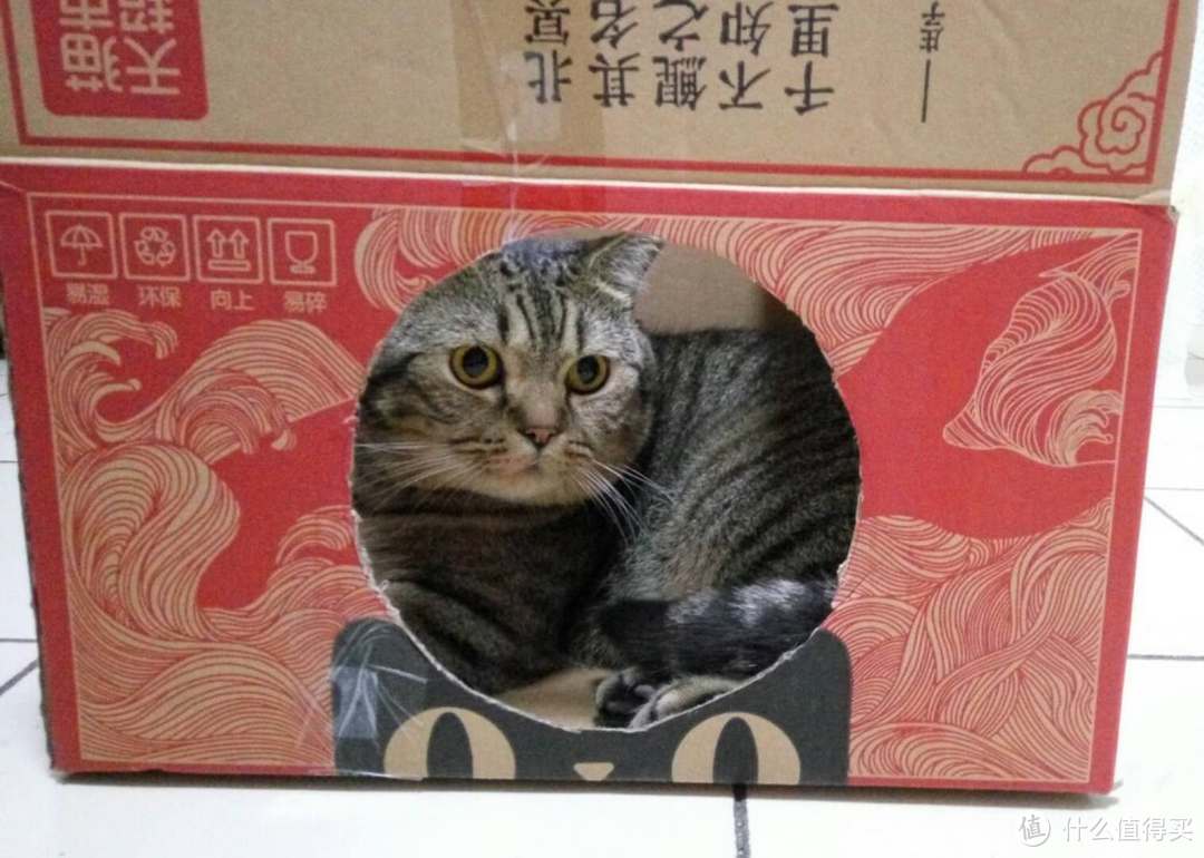 我喵才是天猫系列