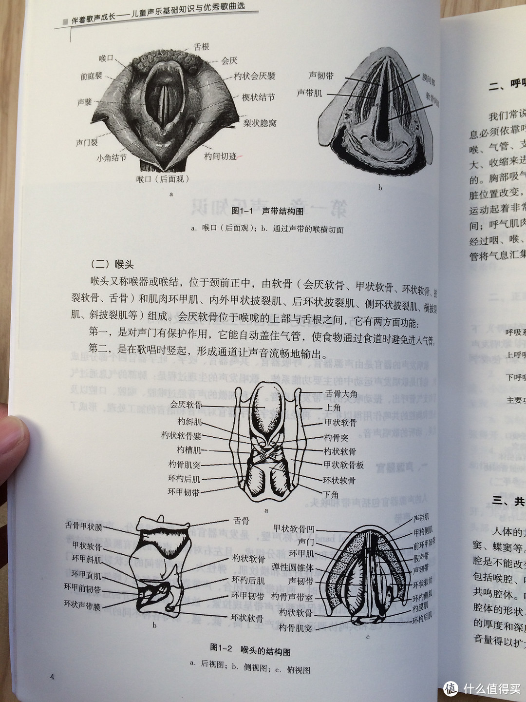 #晒单大赛#介绍我买的一些唱歌和英语语音书