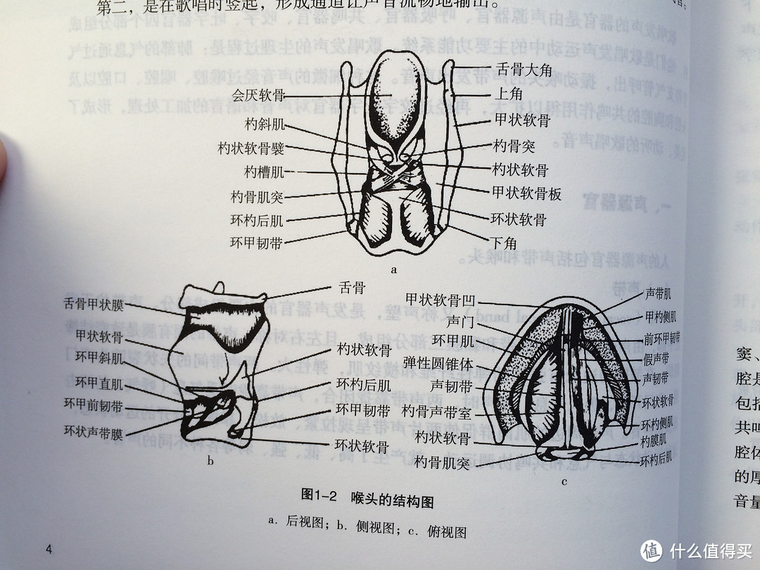 #晒单大赛#介绍我买的一些唱歌和英语语音书