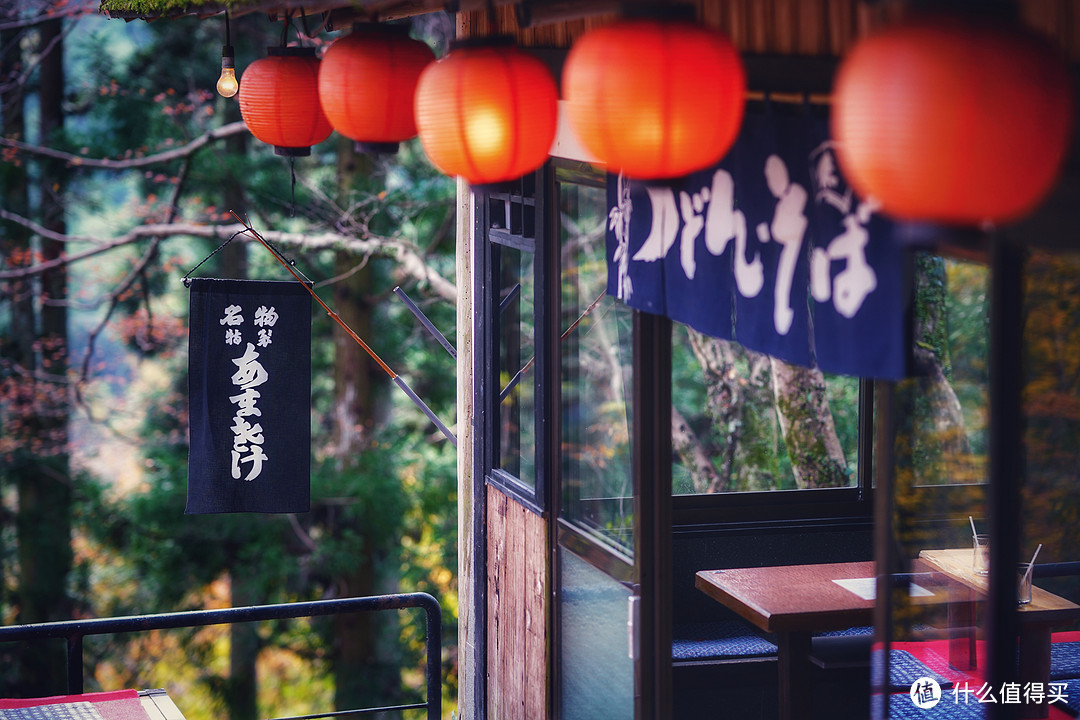 京都红叶狩—神护寺