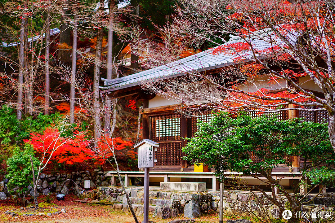 京都红叶狩—神护寺