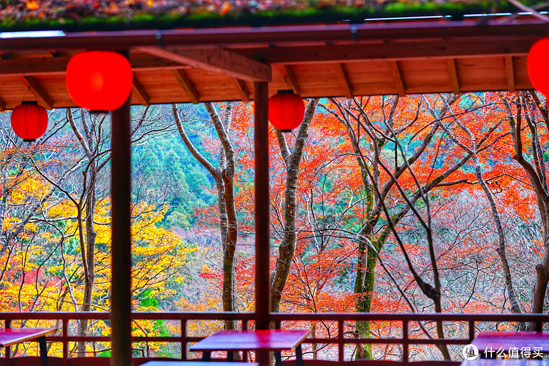 京都红叶狩—神护寺