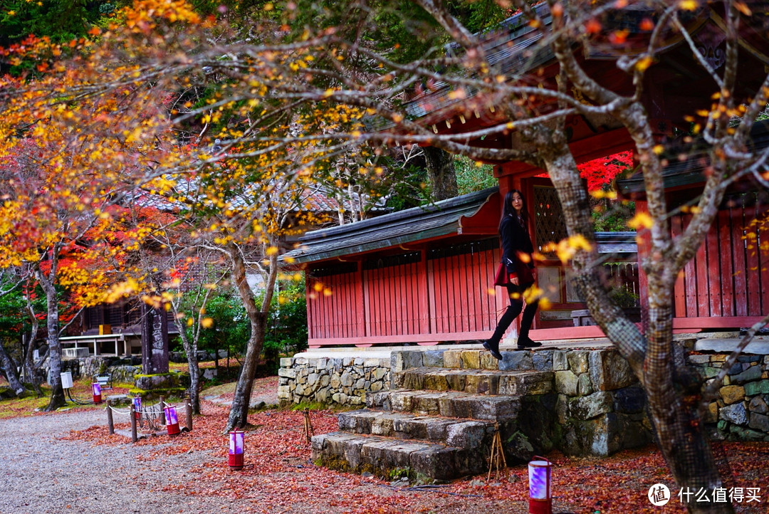 京都红叶狩—神护寺