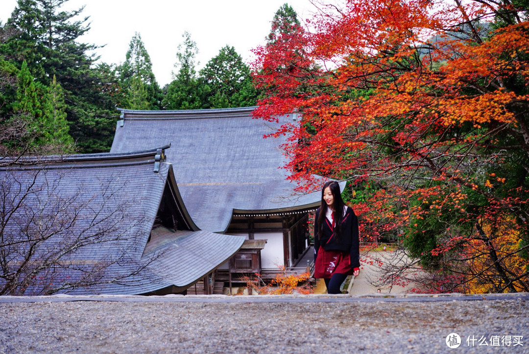 京都红叶狩—神护寺