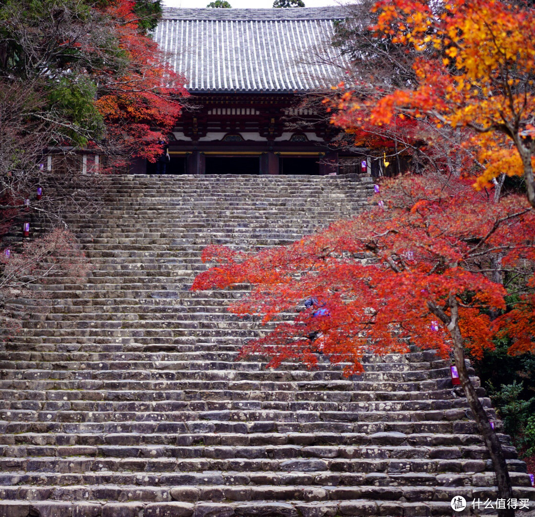 京都红叶狩—神护寺