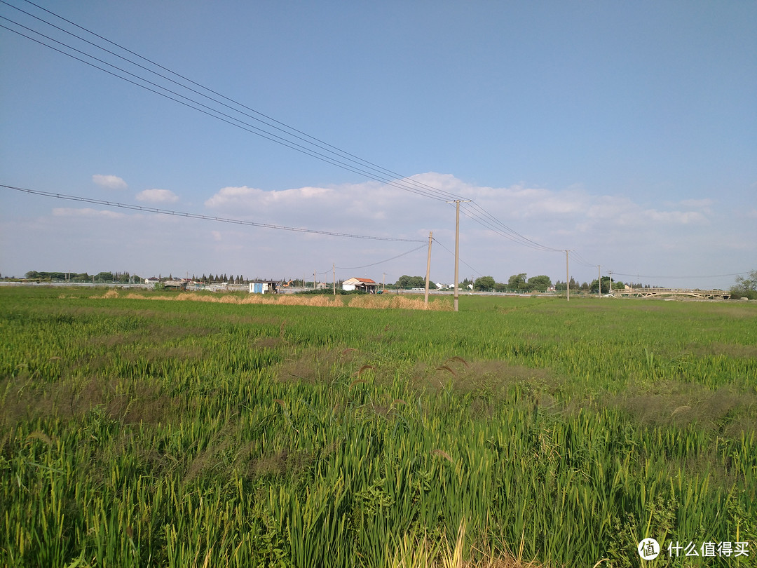 乡野大闸蟹之旅