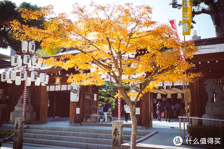 冬日亲子漫游九州（福冈，由布院，黑川温泉，熊本，指宿和鹿儿岛）