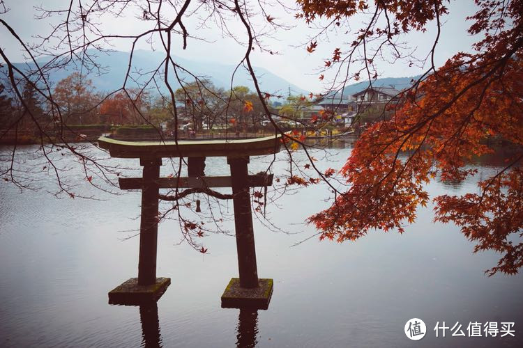 冬日亲子漫游九州（福冈，由布院，黑川温泉，熊本，指宿和鹿儿岛）