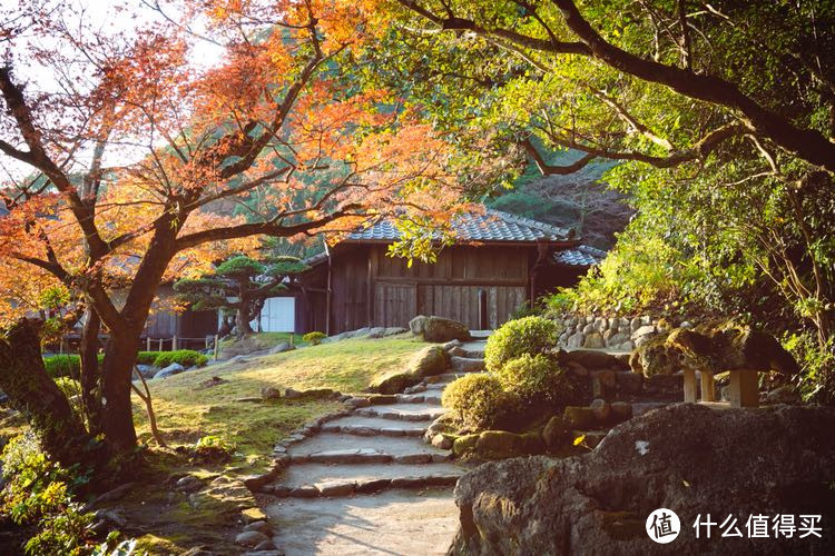 冬日亲子漫游九州（福冈，由布院，黑川温泉，熊本，指宿和鹿儿岛）