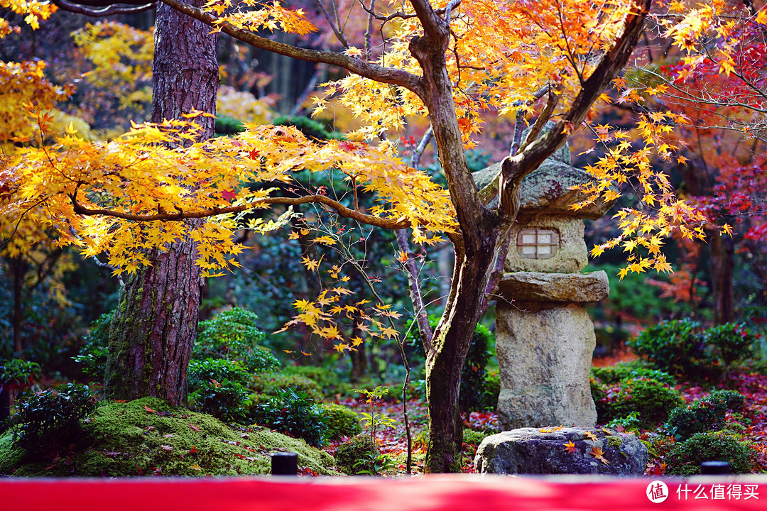 京都：圆光寺，京都御院，伏见稻荷