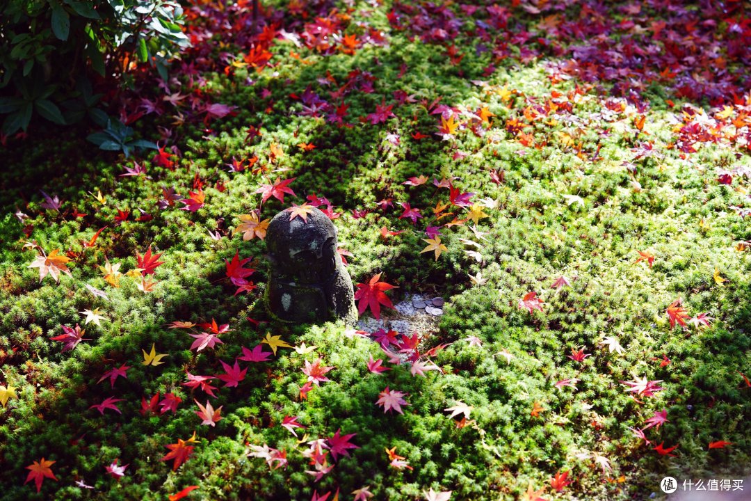 京都：圆光寺，京都御院，伏见稻荷
