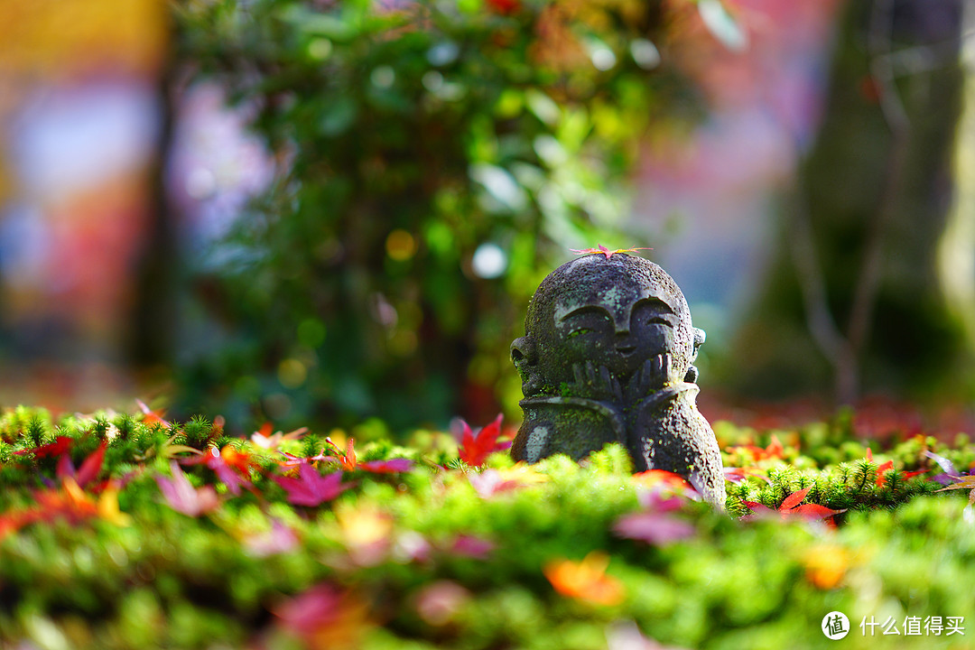 京都：圆光寺，京都御院，伏见稻荷