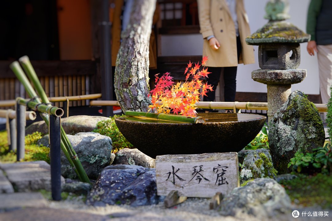京都：圆光寺，京都御院，伏见稻荷