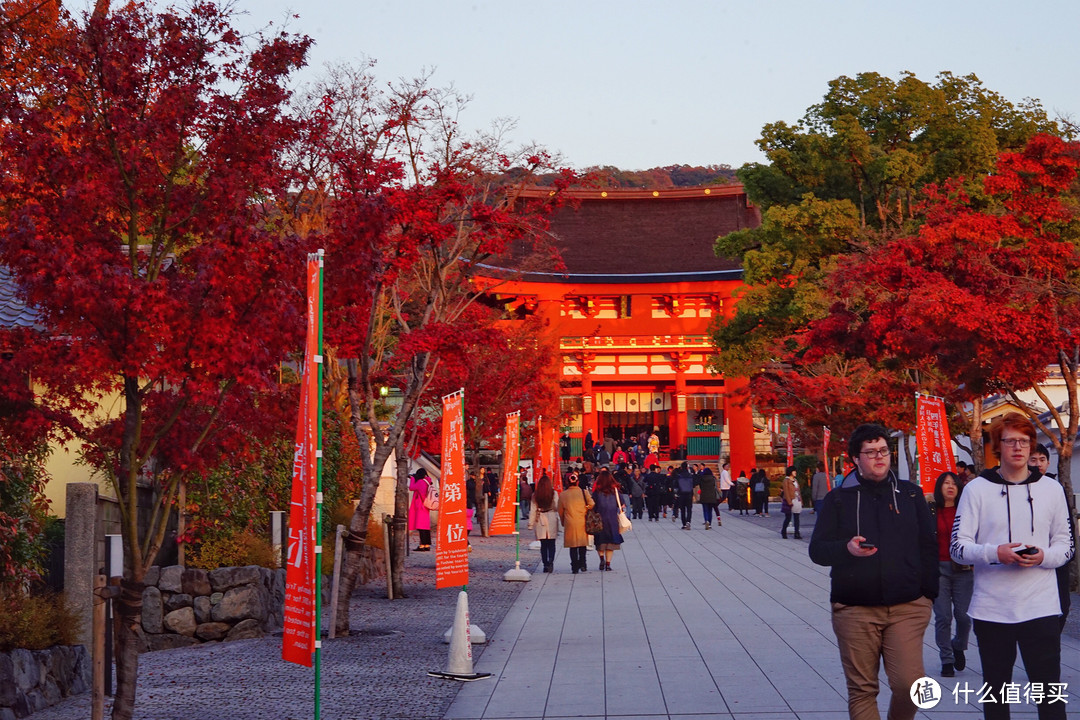 京都：圆光寺，京都御院，伏见稻荷