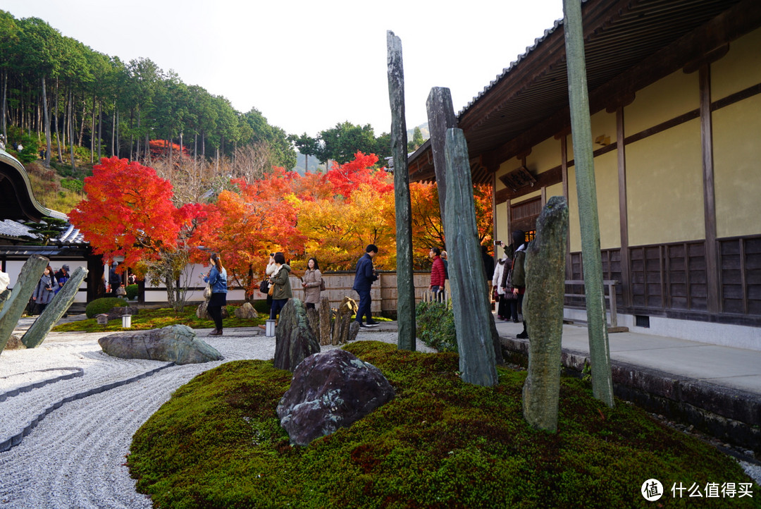 京都：圆光寺，京都御院，伏见稻荷