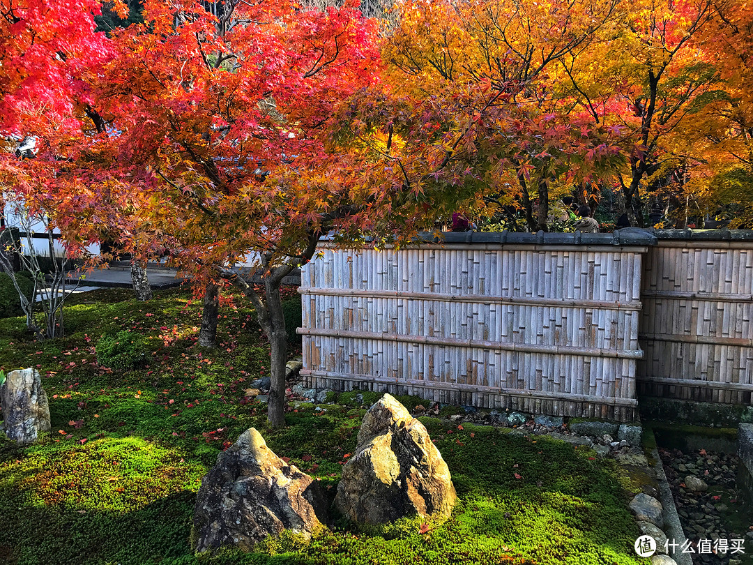 京都：圆光寺，京都御院，伏见稻荷