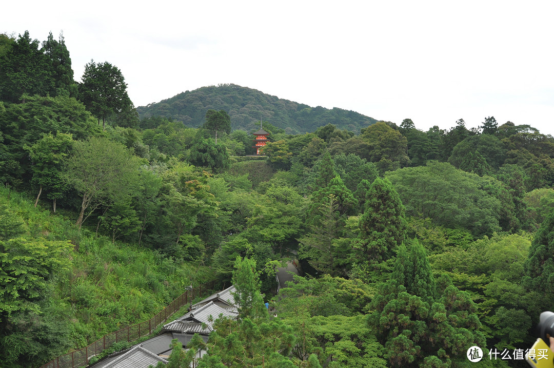 炎热夏季7月春秋旅行之随团关西五日行（两年前跟团游的坑之前篇）