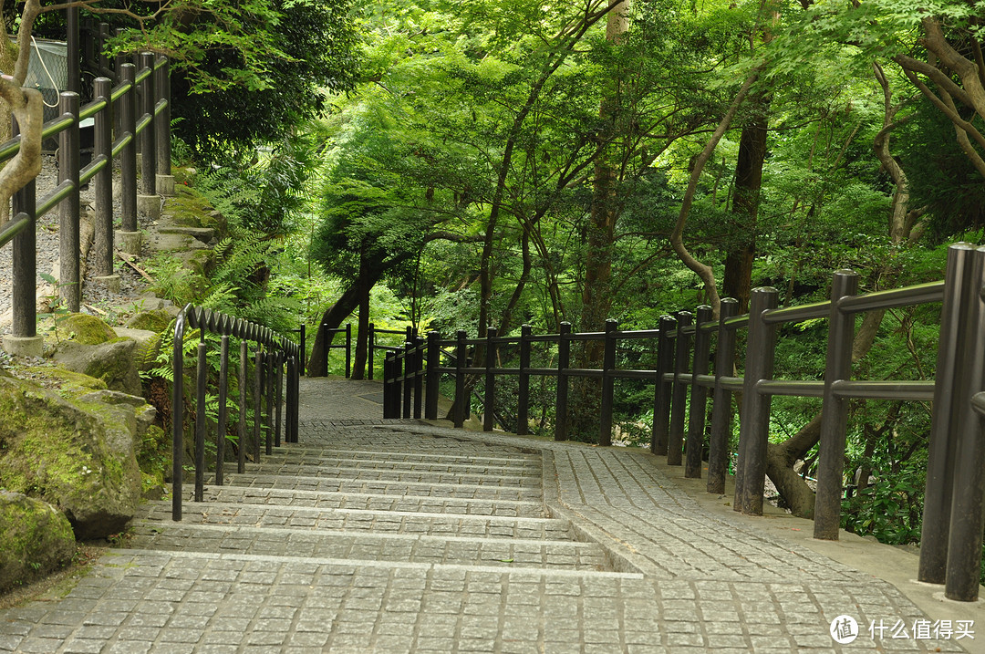 炎热夏季7月春秋旅行之随团关西五日行（两年前跟团游的坑之前篇）