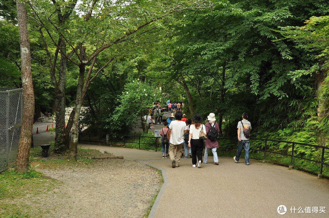 炎热夏季7月春秋旅行之随团关西五日行（两年前跟团游的坑之前篇）