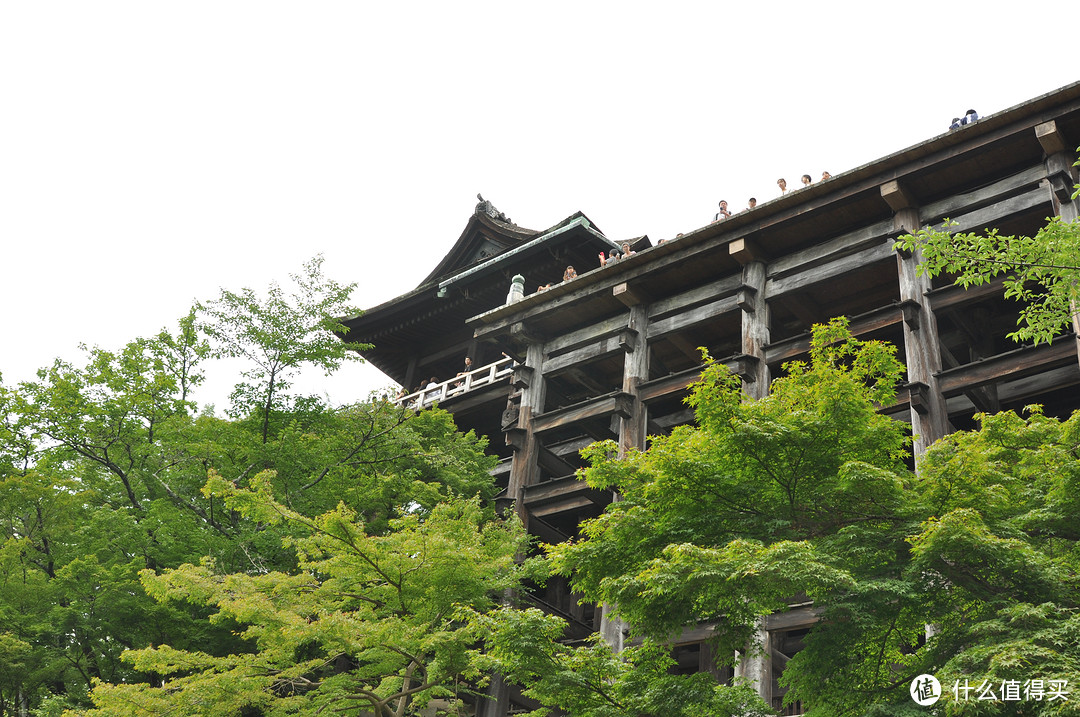 炎热夏季7月春秋旅行之随团关西五日行（两年前跟团游的坑之前篇）