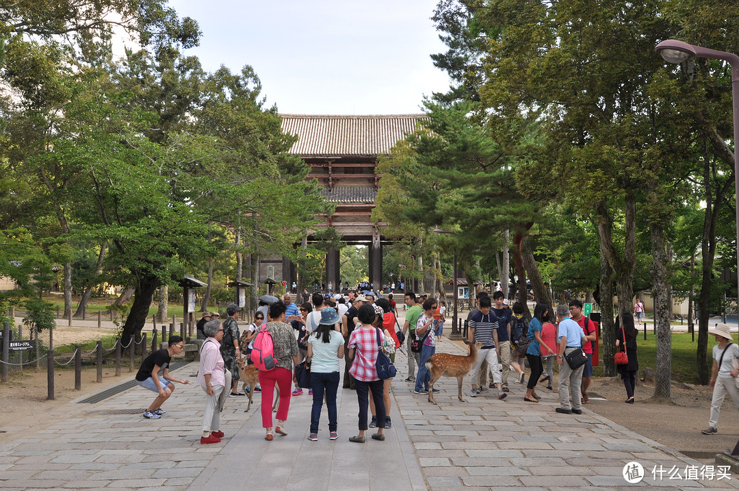 炎热夏季7月春秋旅行之随团关西五日行（两年前跟团游的坑之前篇）