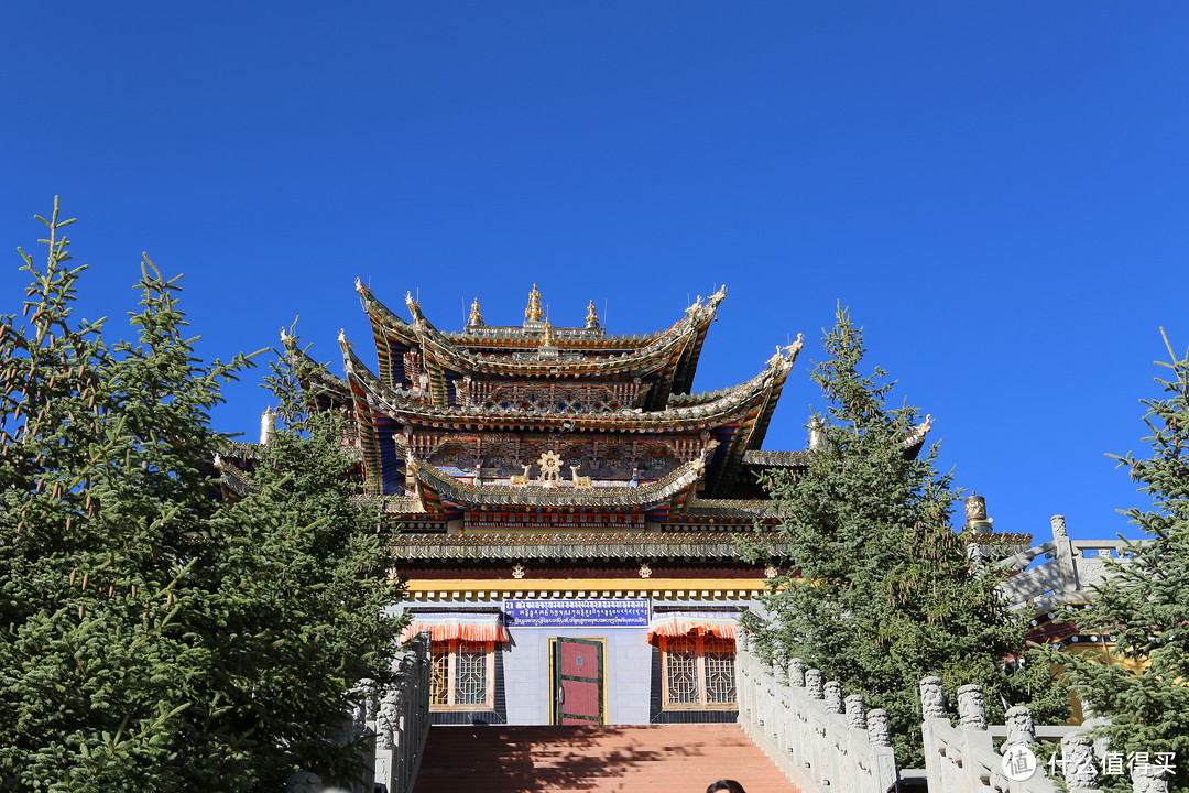 红原-唐克-神座村-查理寺-阿坝（郎依寺-格尔登寺）-各莫寺-久治-班玛