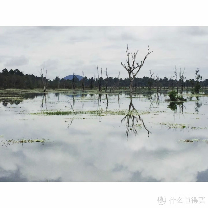 #原创新人#一年两次游吴哥——深度柬埔寨吴哥窟游记攻略感受分享