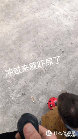 逗逗虫逗逗逗小孩~大人看到也玩兴大发的好玩意儿