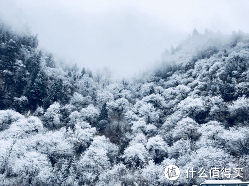 周末两天就往返的小九寨-毕棚沟二日游 多图真人兽