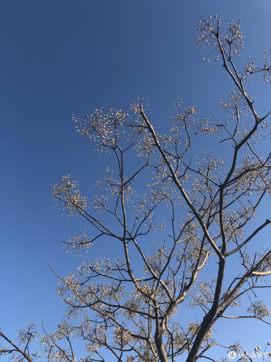 我的消费套路—港版Apple 苹果 iPhone X 开箱晒单