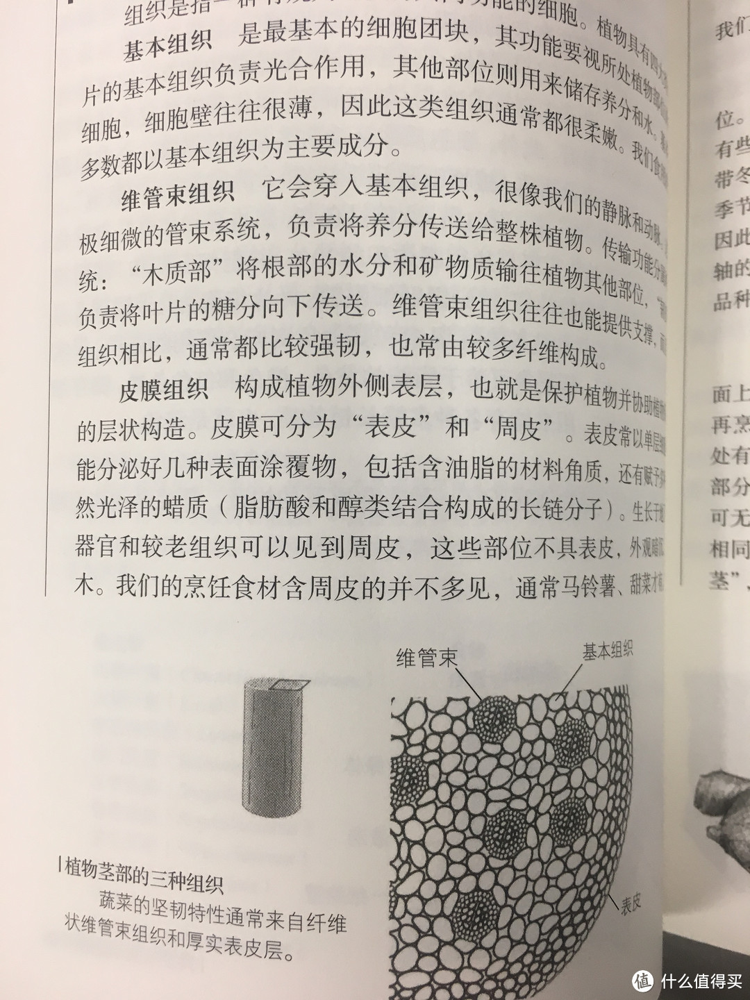 #晒单大赛#理工男教做饭有多可怕？看这本书就知道了——《食物与厨艺》站内首晒