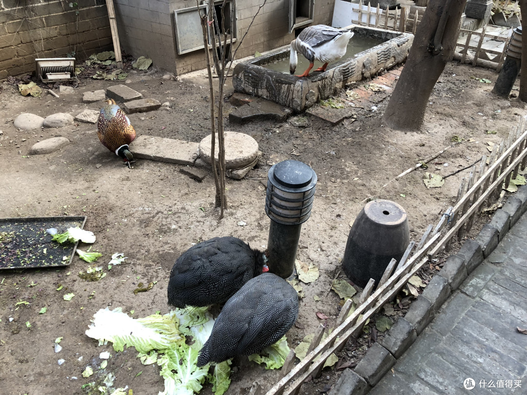 西安三天打卡游之西安天真蓝