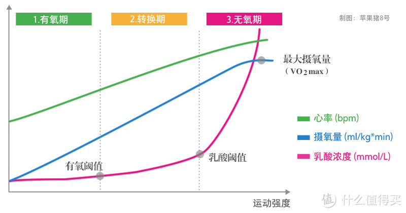 图2-6 乳酸浓度、心率、摄氧量与运动强度的对应关系