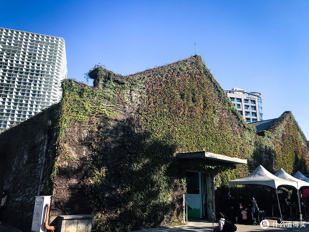 冬季台北不看雨—宝岛之心旅行不完全攻略（上）